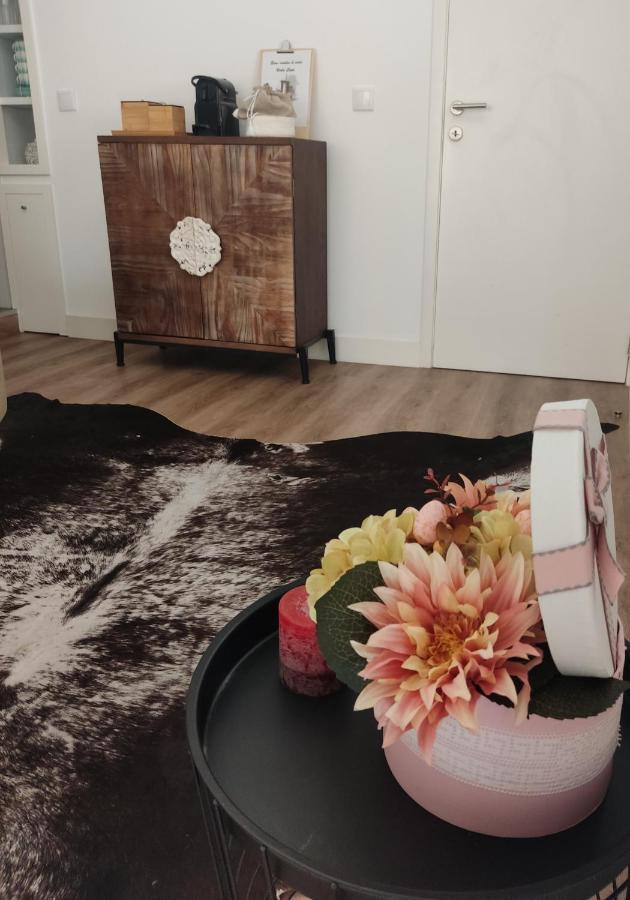 ビアナドカステロCasa Viela Cegaアパートメント エクステリア 写真